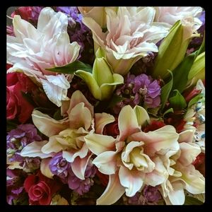 Meet your Posher, Anna